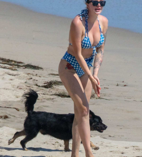 Image 8033670 from Ireland Baldwin