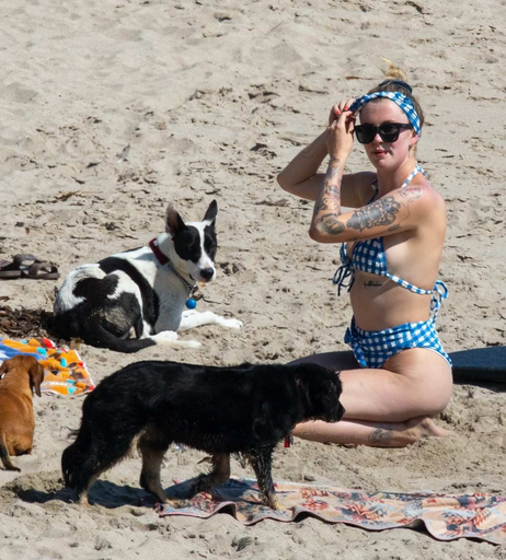 Image 8033676 from Ireland Baldwin