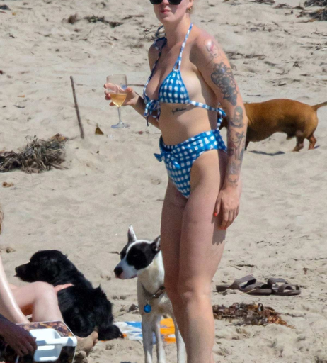 Image 8033669 from Ireland Baldwin