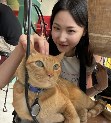 Image 8038643 from Jessica Lee Seul