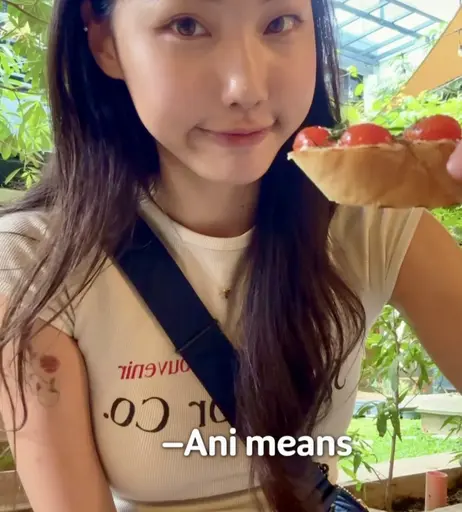 Image 8038647 from Jessica Lee Seul