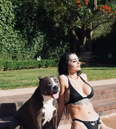 Image 8027584 from WWE&#039;s Paige / Saraya Bevis