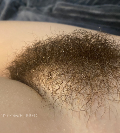 Image 2164653 from furred
