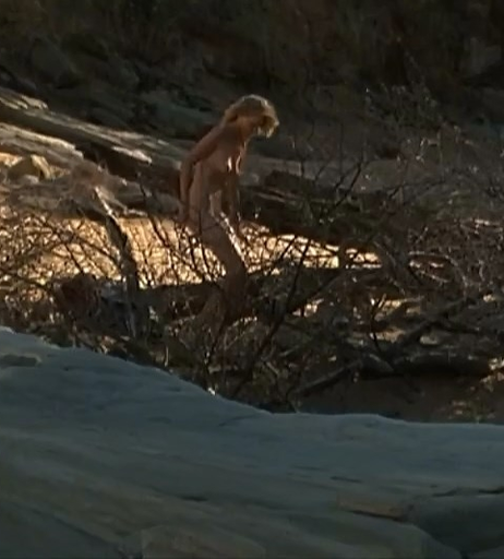 Image 2135234 from Nina Hoss