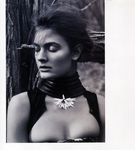 Image 2137065 from Constance Jablonski