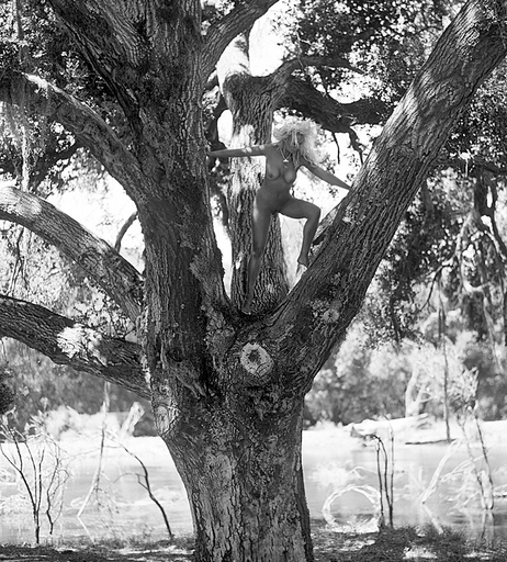 Image 2129619 from Fiona Horne