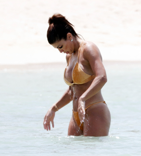 Image 2119451 from Teresa Giudice