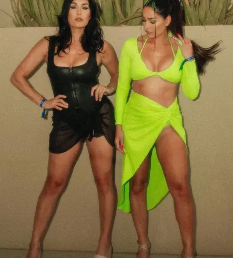 Image 2104850 from Brie Bella