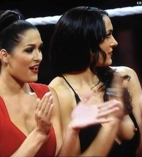 Image 2104185 from Brie Bella