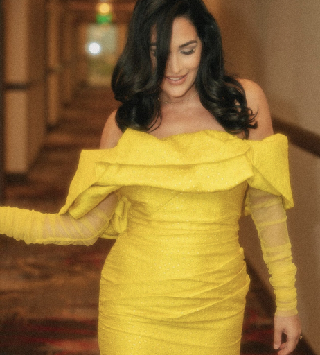Image 2104299 from Brie Bella