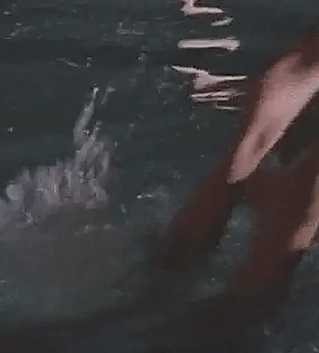 Image 2101857 from Brigitte Nielsen