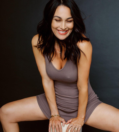 Image 2103972 from Brie Bella