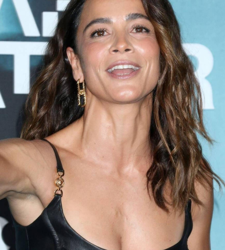 Image 2100571 from Alice Braga