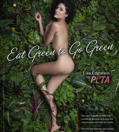 Image 2108476 from Lisa Edelstein