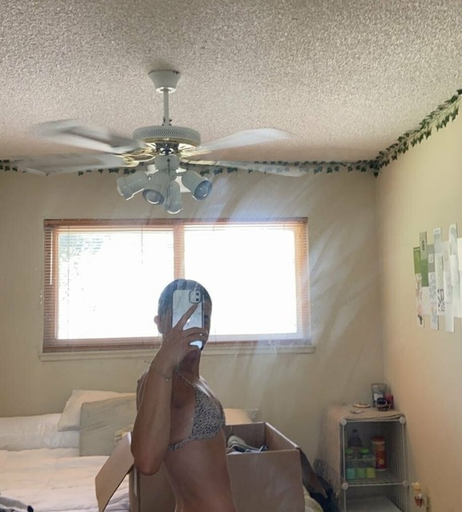 Image 2311421 from Grace Hollon