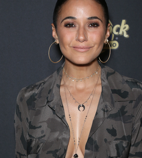 Image 2858904 from Emmanuelle Chriqui