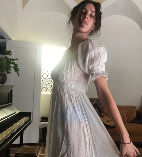 Image 2826973 from Scout Willis