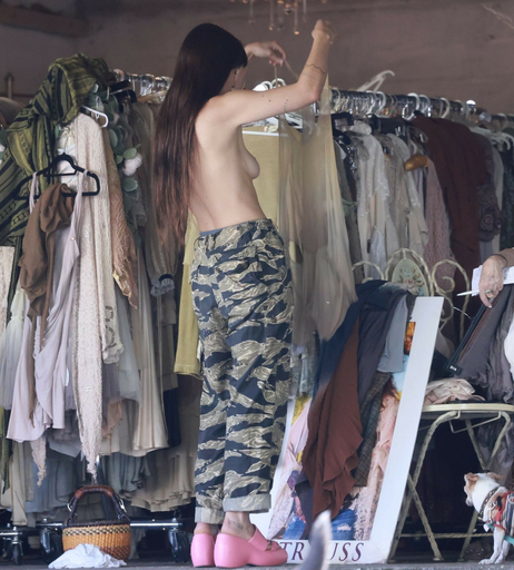 Image 2827020 from Scout Willis