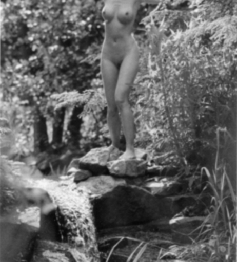 Image 2817075 from Cora Schumacher
