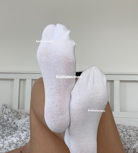 Image 2429893 from Emilia Hermez