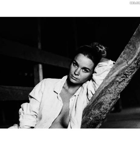 Image 2574267 from Die_mareike