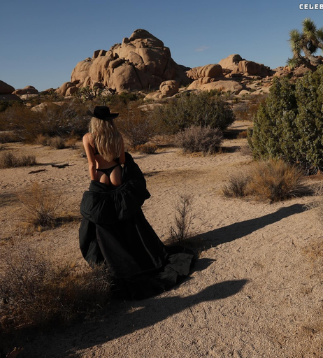 Image 2545313 from Saxon sharbino