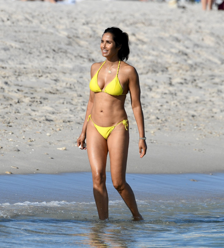 Image 2542692 from Padma Lakshmi