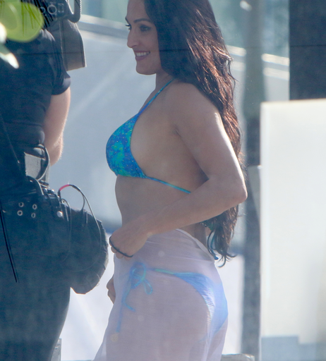 Image 2665103 from Nikki Bella