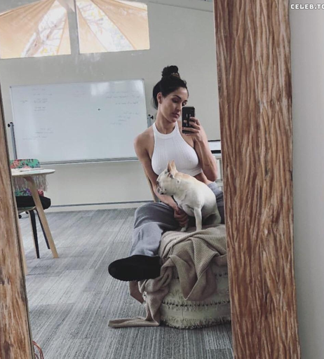Image 2665107 from Nikki Bella
