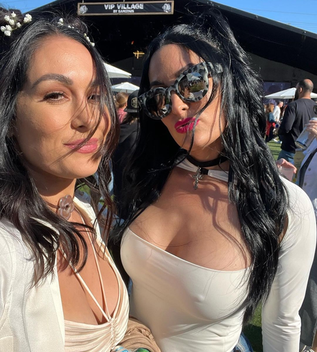 Image 2665074 from Nikki Bella