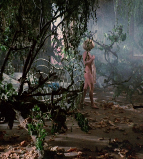 Image 2633695 from Elke Sommer