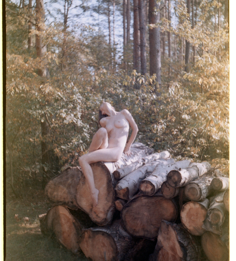 Image 2750087 from Paula Bulczynska