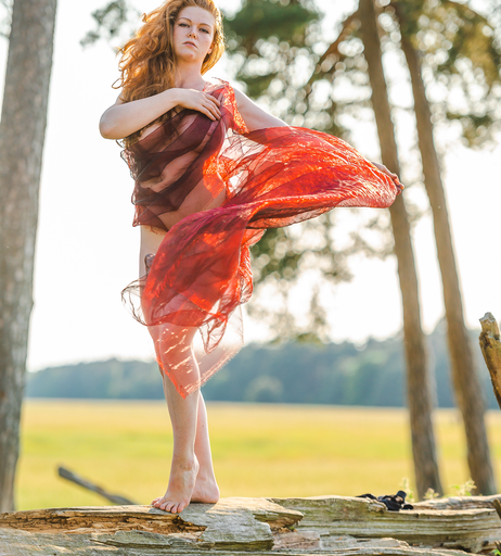 Image 2725251 from Foxydirndl