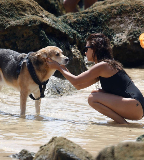 Image 2728697 from Monica Cruz