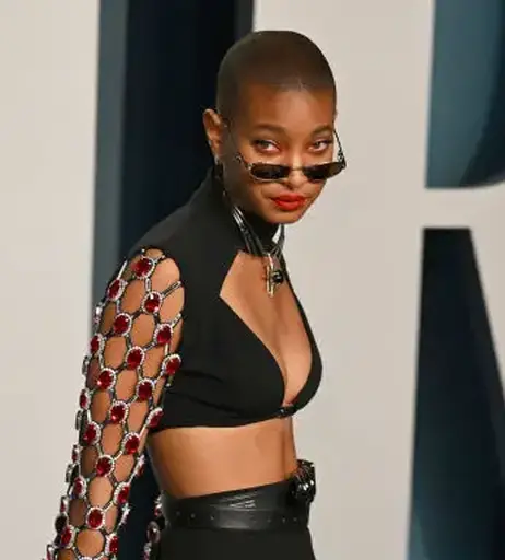 Image 2066456 from Willow Smith