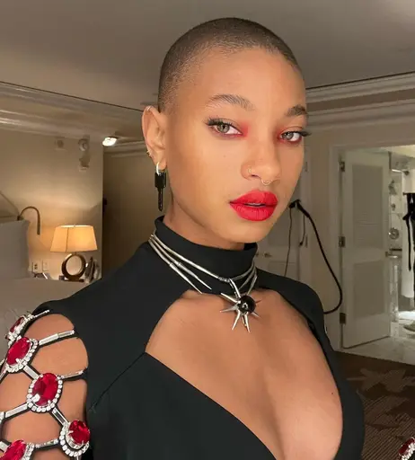 Image 2066245 from Willow Smith