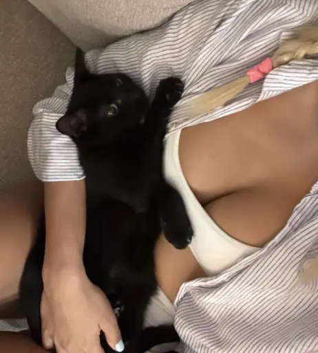 Image 12384625 from Serena Jung