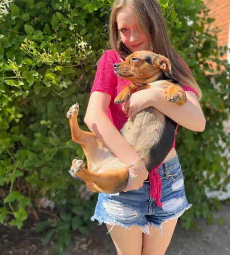 Image 12171549 from unoangryone | vonthedon | Veronica