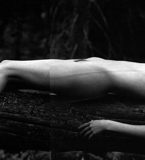 Image 1996570 from Carolyn Murphy