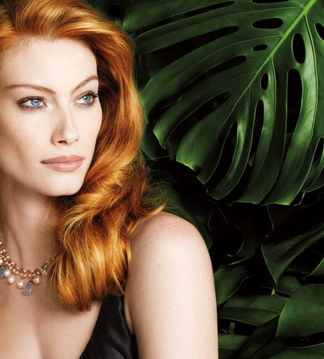 Image 1987333 from Alyssa Sutherland