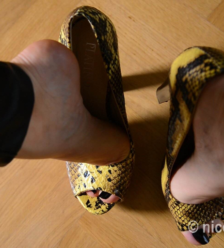 Image 1554254 from FeetLadyNicole