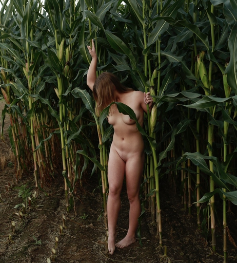 Image 1637871 from Dairy lena