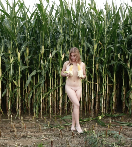 Image 1637447 from Dairy lena
