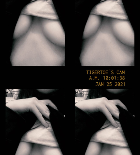 Image 1630712 from xtigertoe