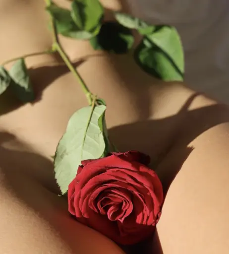 Image 10872948 from Serena Jung