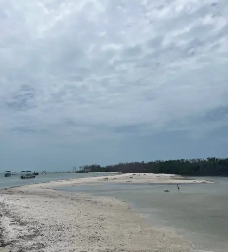 Image 10644773 from Frailu