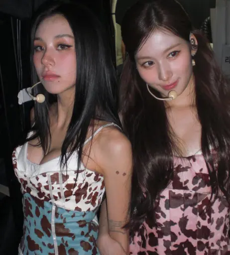 Image 10695471 from Chaeyoung (TWICE)