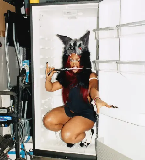 Image 10311241 from SZA | Solana Rowe