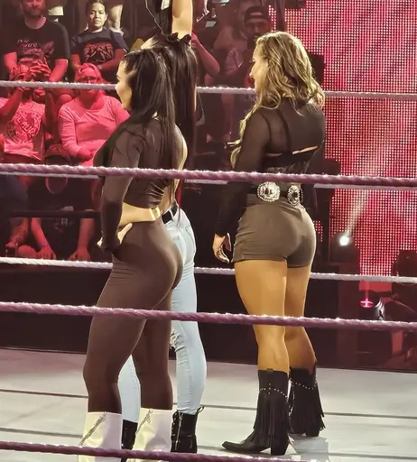 Image 10172463 from Fallon Henley (WWE)
