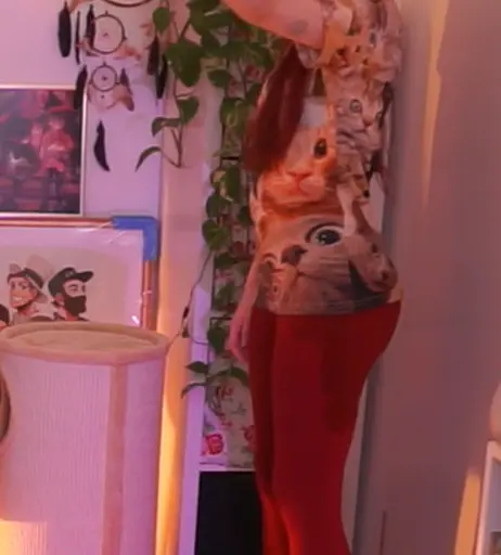 Image 1011080 from Baso